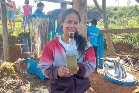 citronella plant in bisaya|DOST realizes citronella facility for Higaunon farmers .